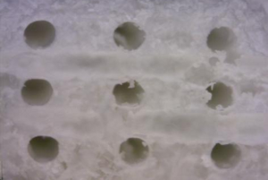 Indirect Scaffold Fabrication via Biomimetic Mineralization